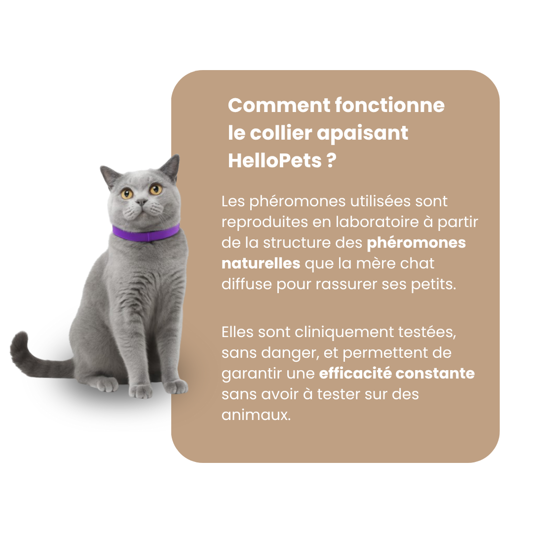 Collier Apaisant pour Chat HelloPets
