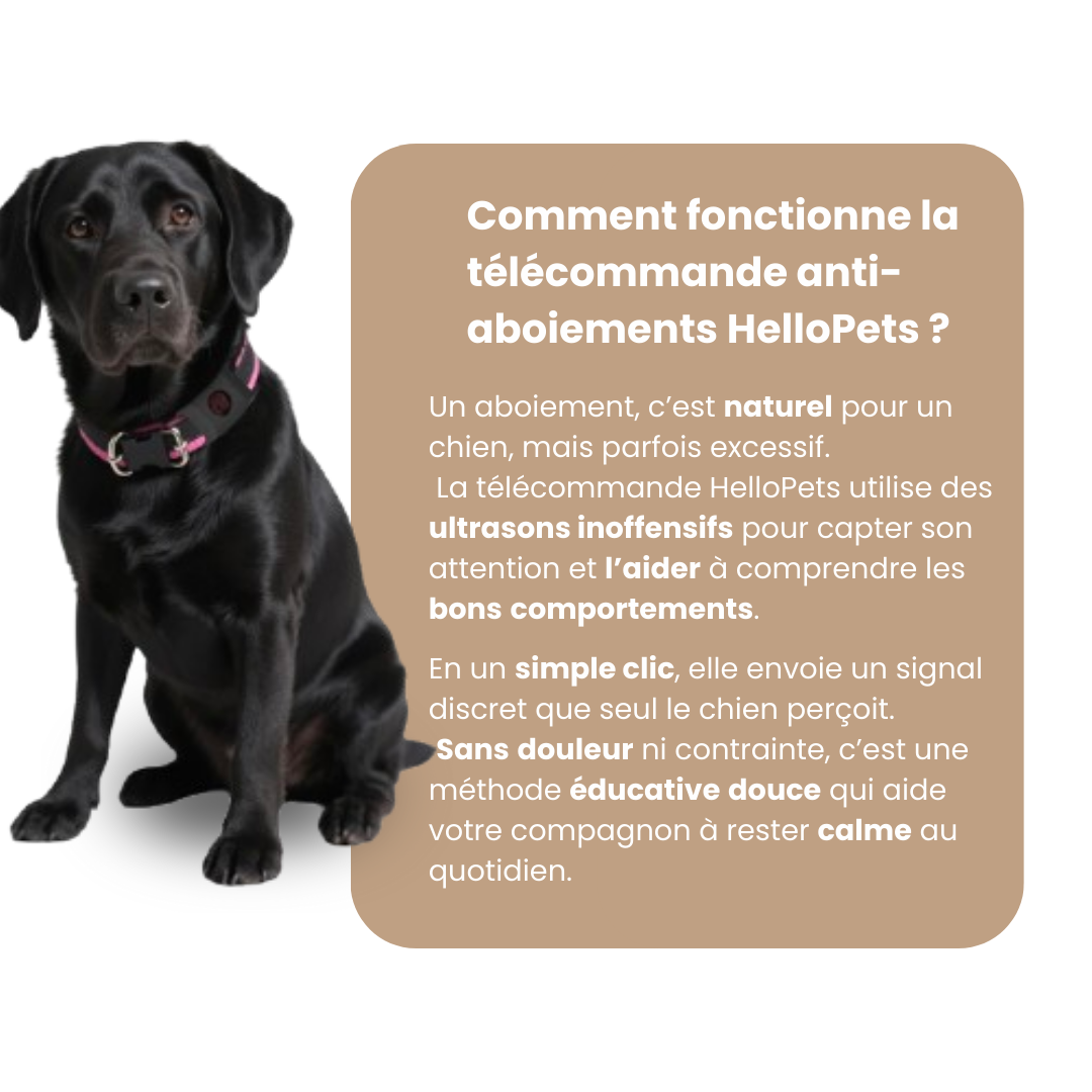 Télécommande Anti-Aboiements HelloPets