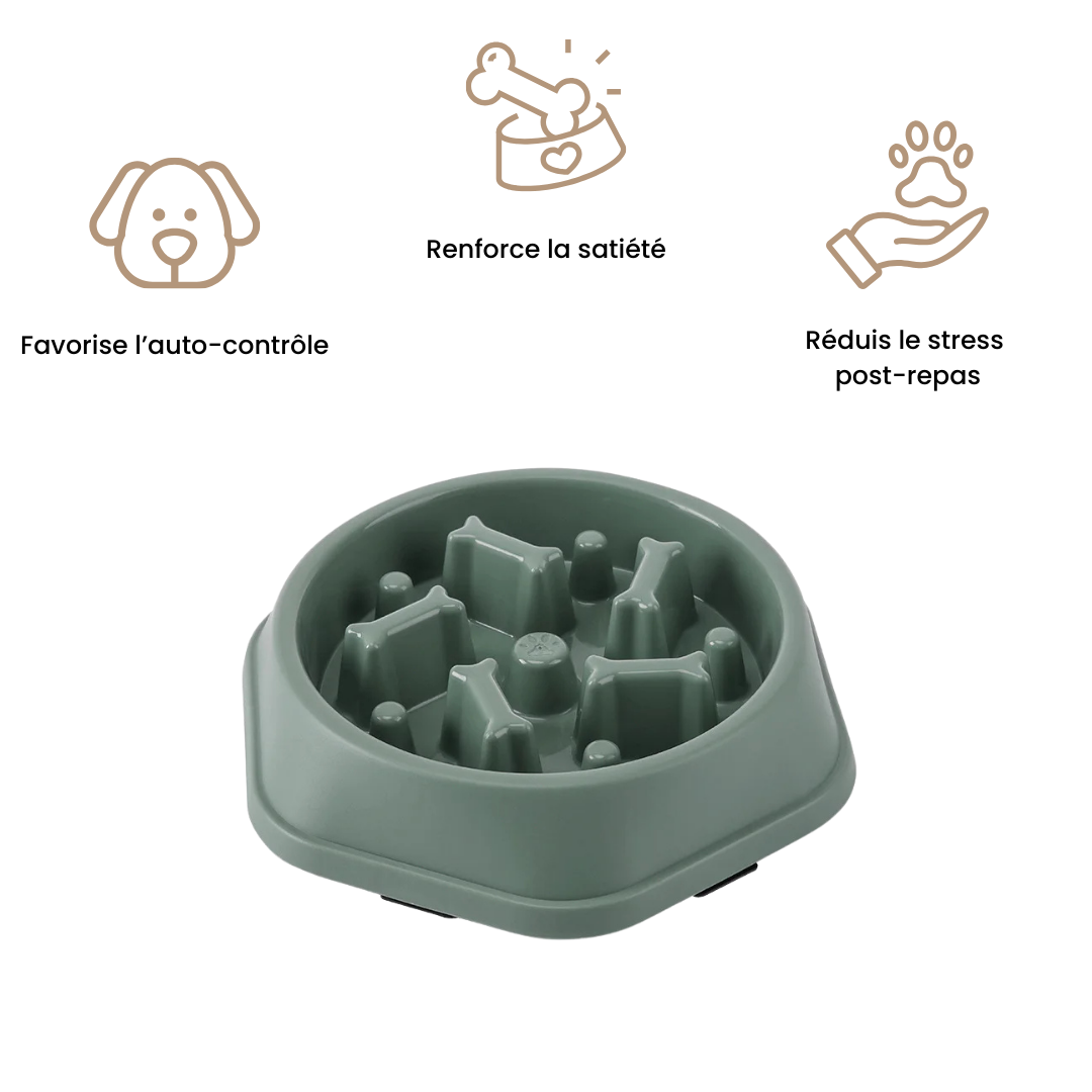 Gamelle anti-glouton