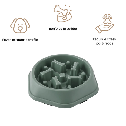 Gamelle anti-glouton