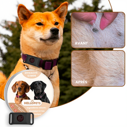 Collier Anti-Nuisibles pour Chien HelloPets