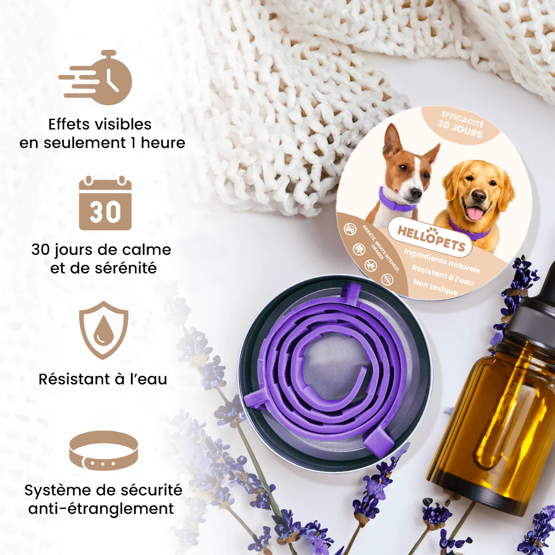 Collier Apaisant pour Chien HelloPets