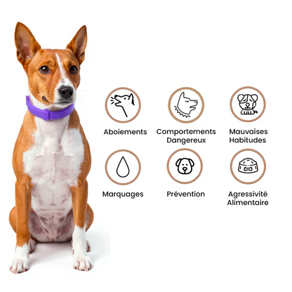 Télécommande Anti-Aboiements HelloPets