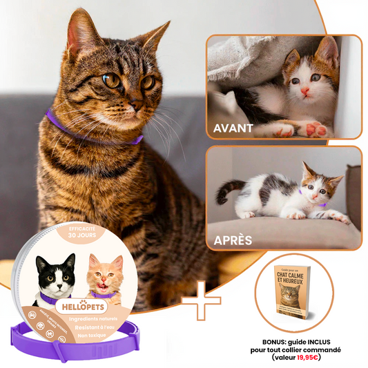 Collier Apaisant pour Chat HelloPets