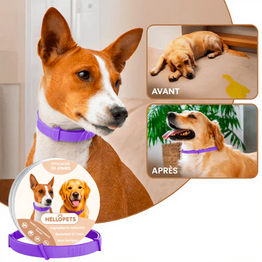 Collier Apaisant pour Chien HelloPets