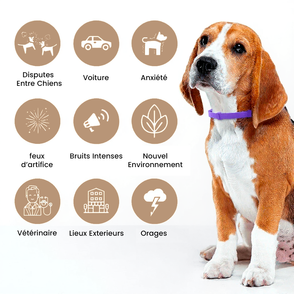 Collier Apaisant pour Chien HelloPets