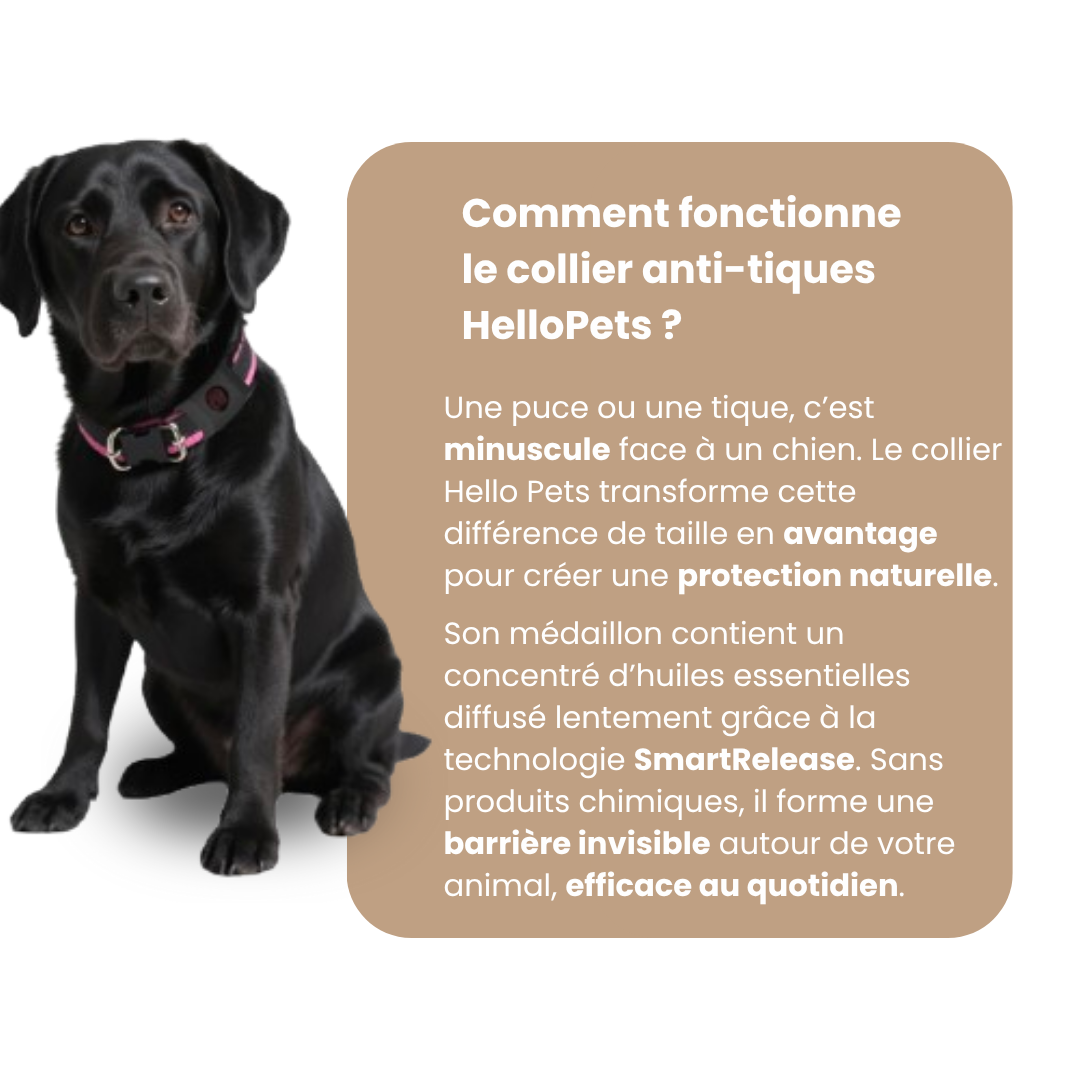 Collier Anti-Nuisibles pour Chien HelloPets