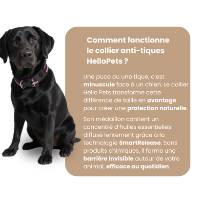 Collier Anti-Nuisibles pour Chien HelloPets