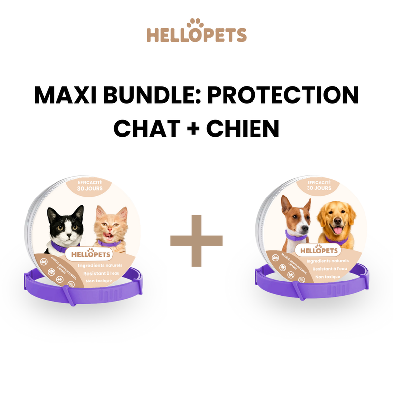 Bundle - Collier Apaisant pour Chien et Chat